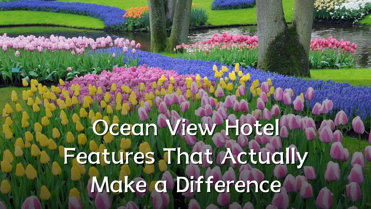 Ocean View Hotel Features That Actually Make a Difference