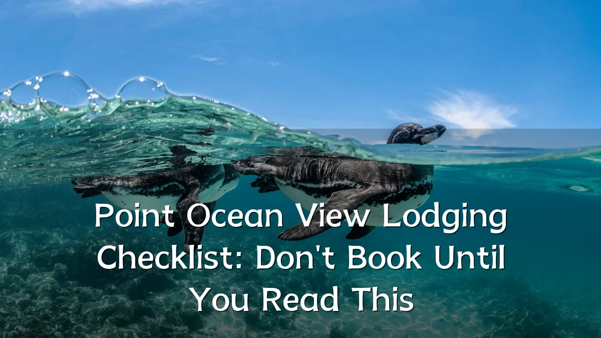 Point Ocean View Lodging Checklist: Don't Book Until You Read This