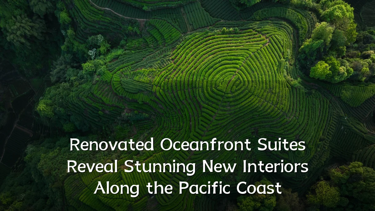 Renovated Oceanfront Suites Reveal Stunning New Interiors Along the Pacific Coast