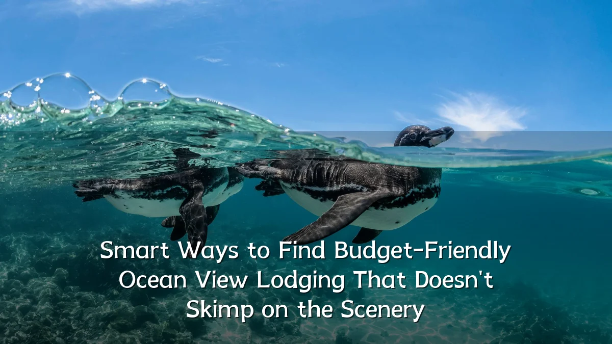 Smart Ways to Find Budget-Friendly Ocean View Lodging That Doesn't Skimp on the Scenery