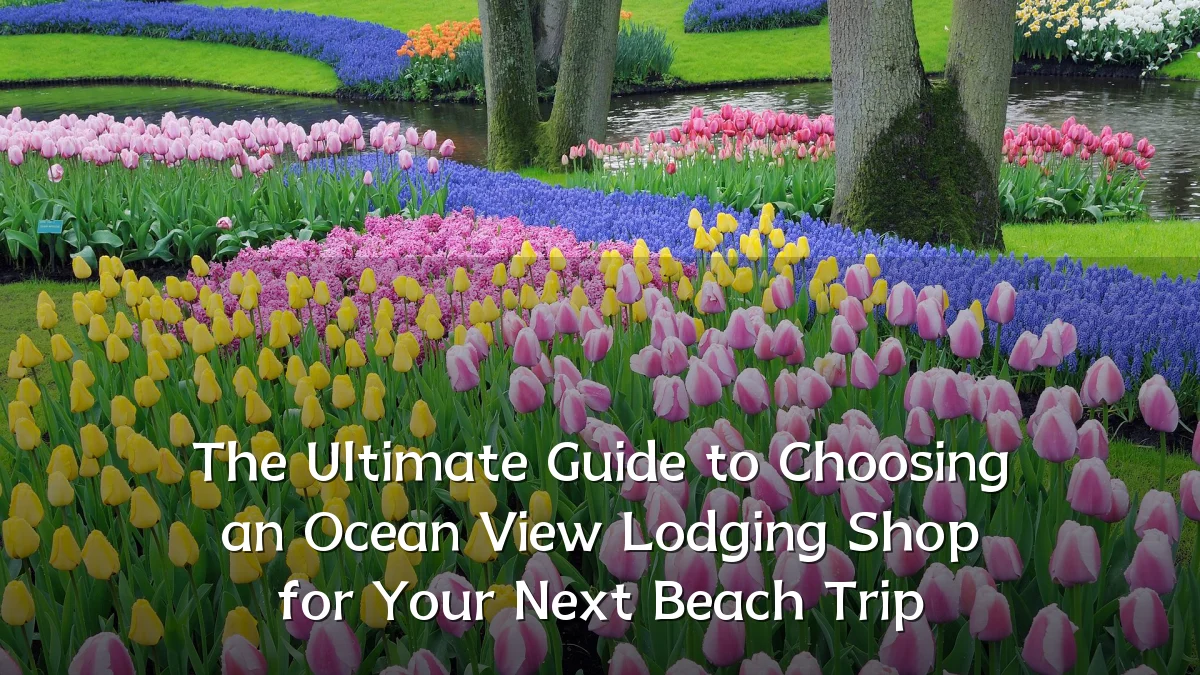 The Ultimate Guide to Choosing an Ocean View Lodging Shop for Your Next Beach Trip