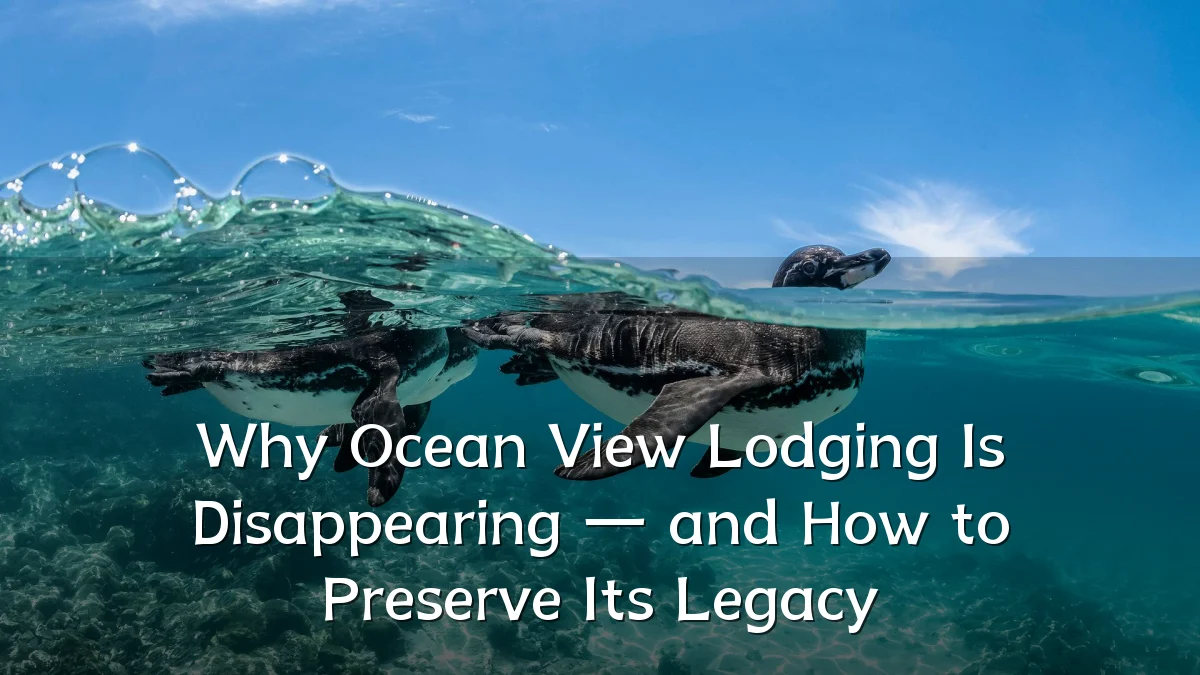 Why Ocean View Lodging Is Disappearing — and How to Preserve Its Legacy